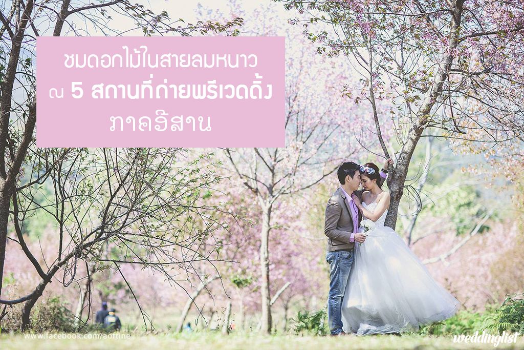 ชมดอกไม้เมืองหนาว ณ 5 สถานที่ถ่ายพรีเวดดิ้งภาคอีสาน