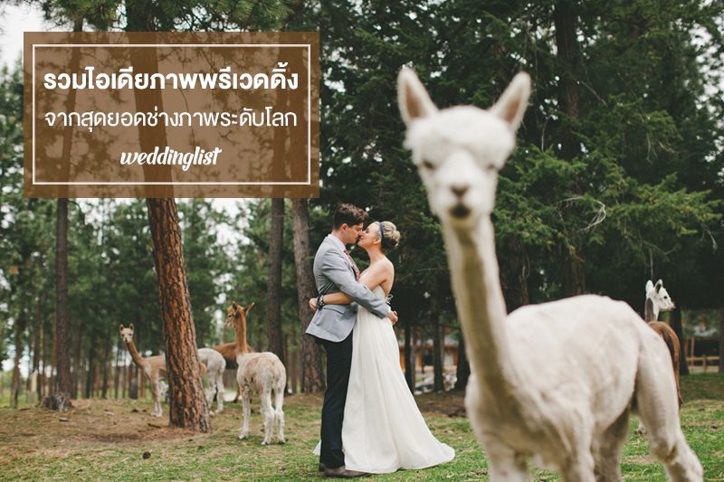 มีแพลนถ่ายพรีเวดดิ้งดูไว้ ! รวมไอเดียพรีเวดดิ้งจากช่างภาพมือเซียนจากทุกมุมโลก