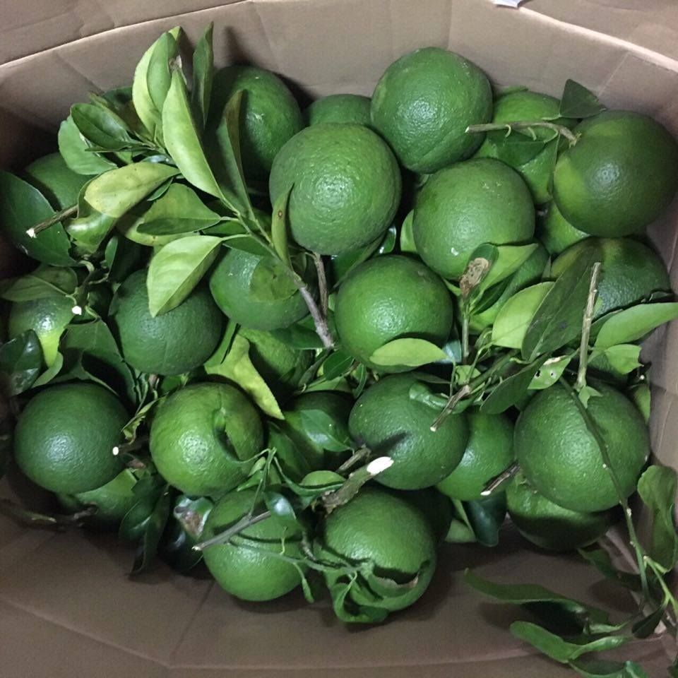 รีวิวแต่งงาน-จัดงานแต่งเอง-06