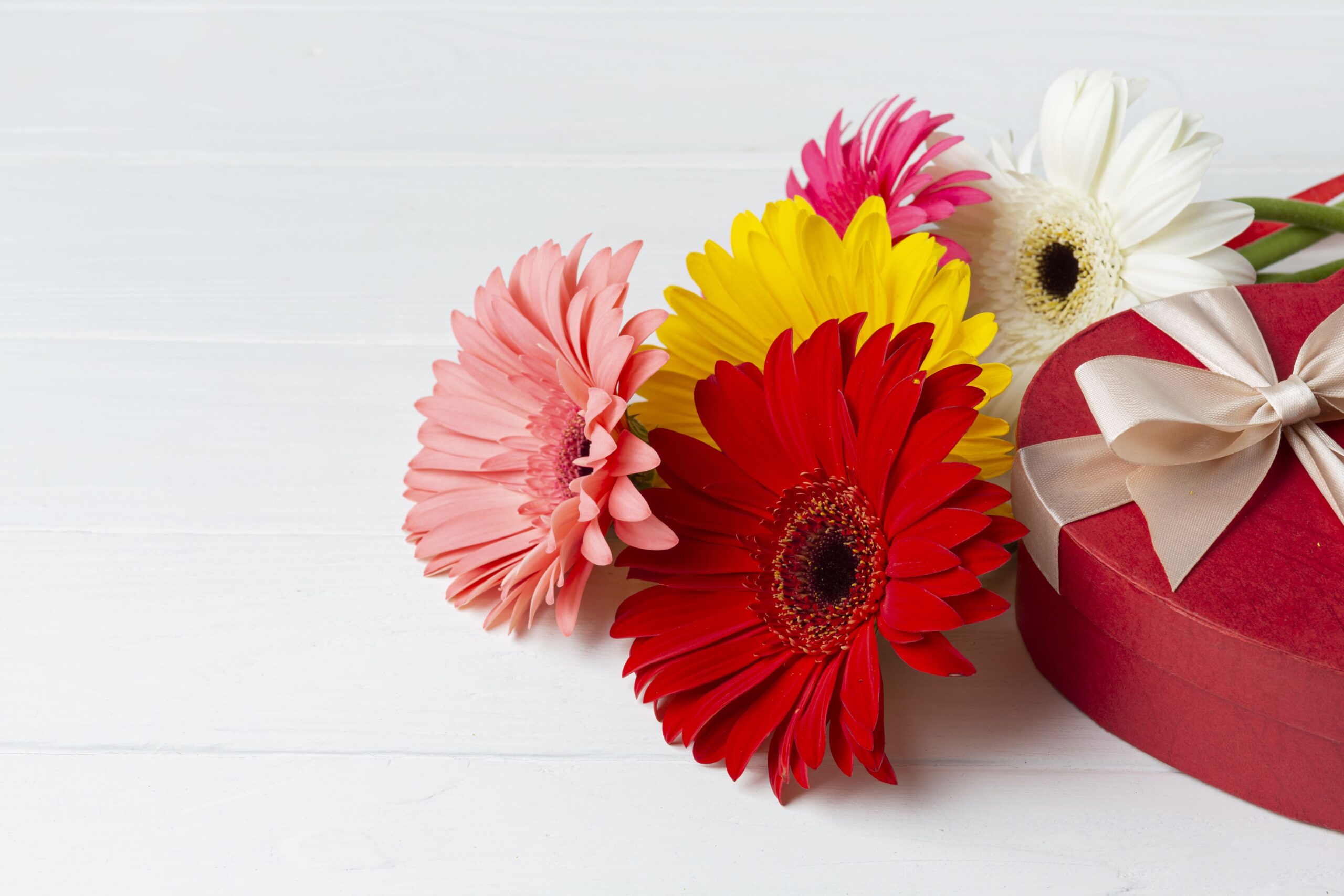 ดอกเยอบีรา ดอกไม้ในงานแต่ง