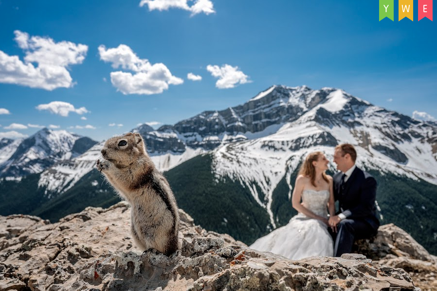ภาพถ่ายแต่งงาน Marcin Karpowicz ช่างภาพแต่งงานชาวแคนาดา