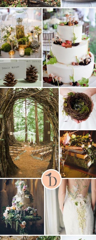 003b3488b96243e7d6030b8b875c542d