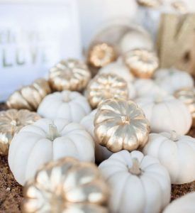 171802bca23b12278b2d85fc977f60f8