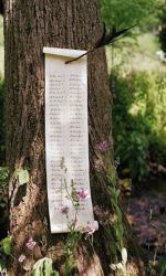 22cbd3167105bacae3c5ece472e220b1