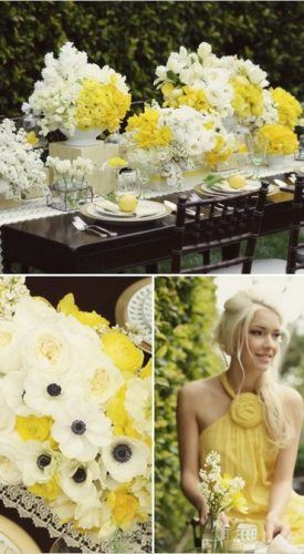 268e8a9f3bd88e39fb9ccb0ef74db5a7