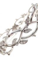 312471bc42009b60325a62e791450995