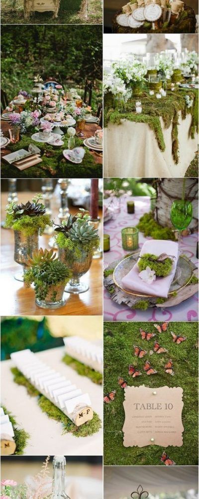 356e381c8fd388bee6644210f1156cf3