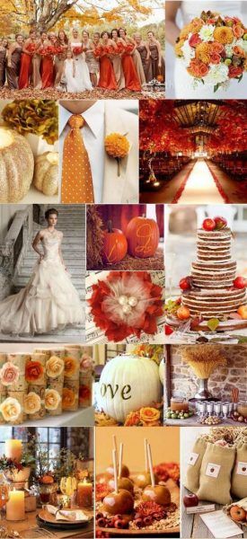 40dd8a1d4a4701bb5db460d733c11873