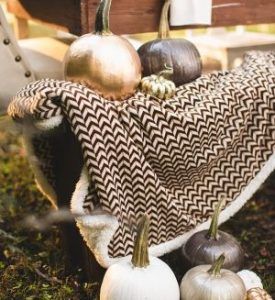 6372058cc66ca66da4accb4cbe9de602