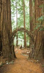 6c56b4e89f378c31fe61aadf02c09141