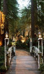 79b841b0d6bb5abe250be62ed9a07459