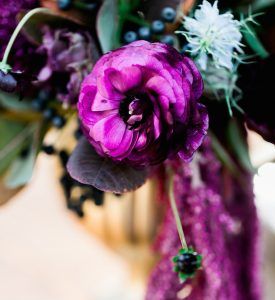 AshleyRaePhotography-Halloween46