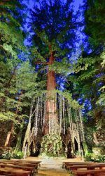 b9e3c422f59abf49d51654782b48fa43