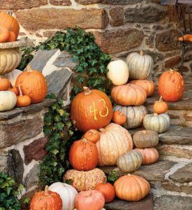 bbcce2fb81793a9a96e2de46b81635b2