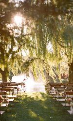 dbcc0e12eb773ddfa11f132e60389be9