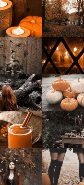 ddf6dc7bd4710dc202342db74f262407