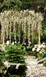 e94c15a6a56a03e932661150a701636b