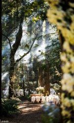 eee1f484254744d381b307724a098407