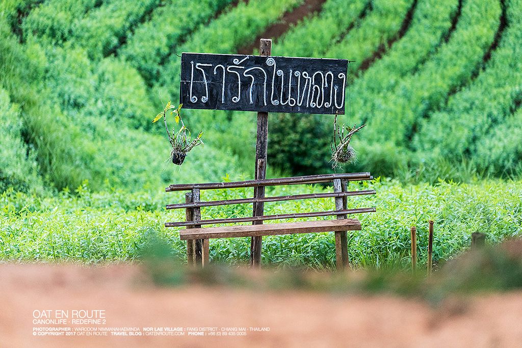 ตามรอยในหลวงรัชกาลที่ ๙ กับ ๕ โครงการหลวงในภาคเหนือที่น่าเที่ยว