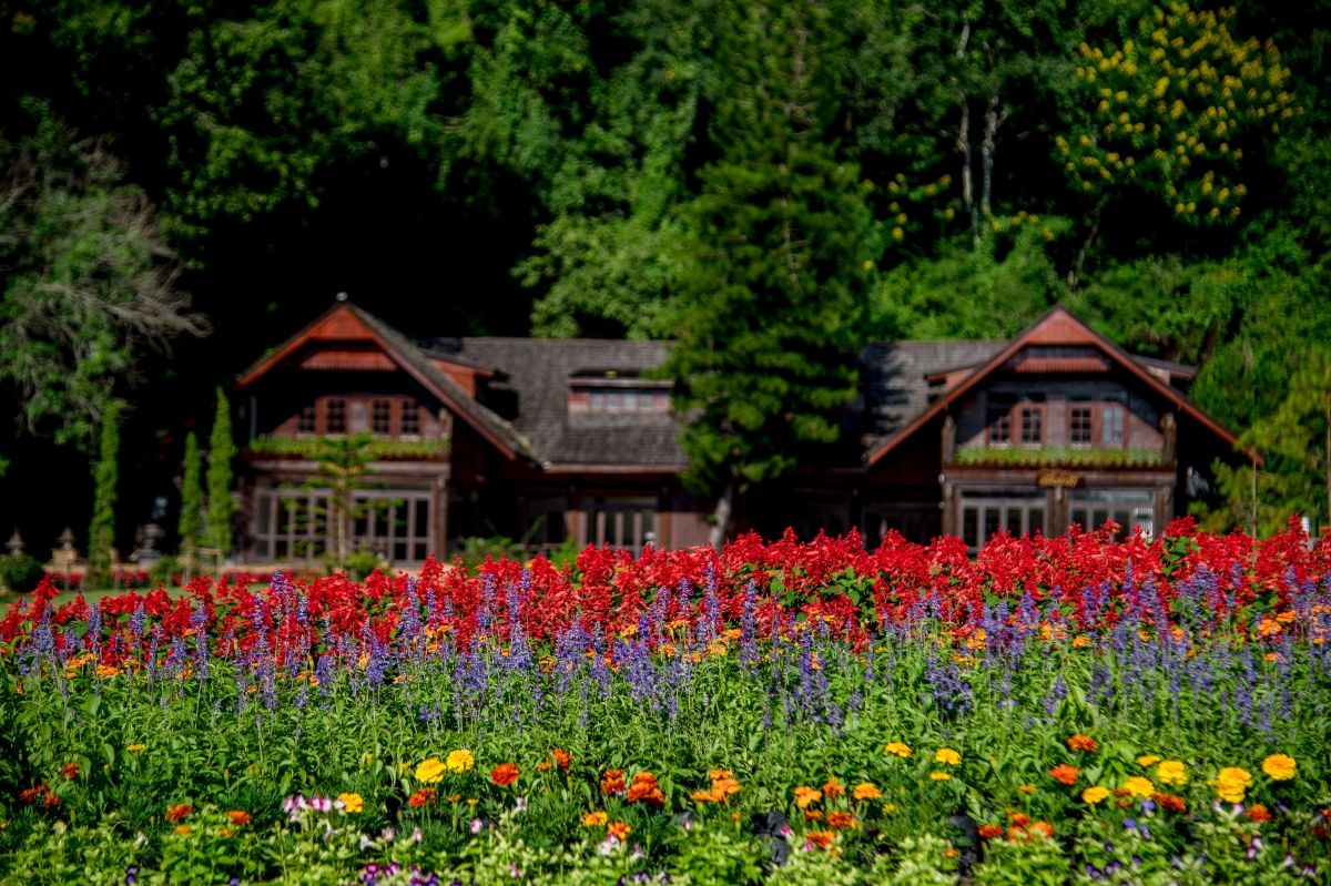 แนะนําสถานที่ถ่ายพรีเวดดิ้งบรรยากาศดี ทุกฤดูตลอดทั้งปีก็ถ่ายได้ ณ โรงแรมฟลอร่า ครีค , เชียงใหม่