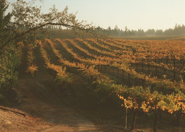 ดื่มด่ำไวน์ระดับตำนานจากรัฐแคลิฟอร์เนีย จับคู่กับอาหารรสเลิศ ณ ห้องอาหาร อัพ แอนด์ อะบัฟ โรงแรม ดิ โอกุระ เพรสทีจ กรุงเทพฯ