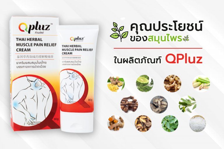 ผลิตภัณฑ์ QPluz ครีมนวดบรรเทาอาการปวดเมื่อย จากคุณสมบัติของสมุนไพร 11 ชนิด