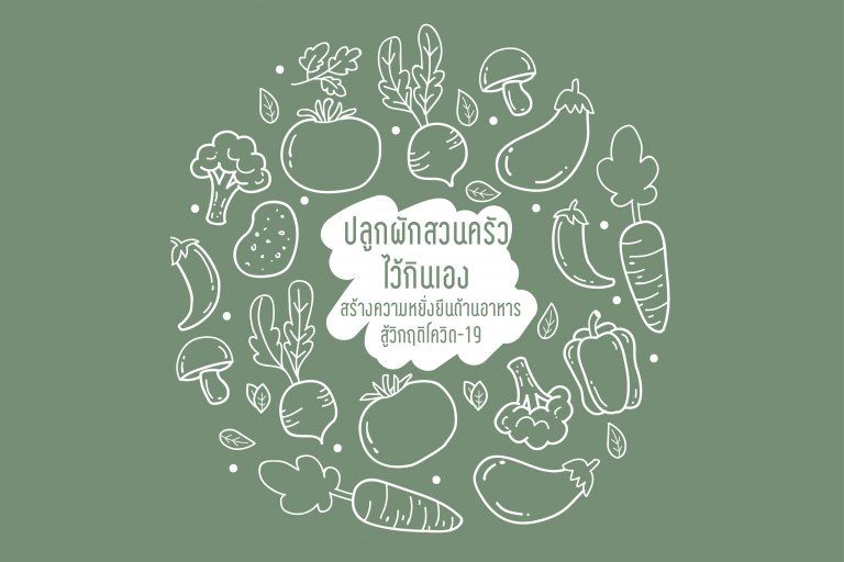 ปลูกผักสวนครัวไว้กินเอง สร้างความหยั่งยืนด้านอาหาร สู้วิกฤติโควิด-19
