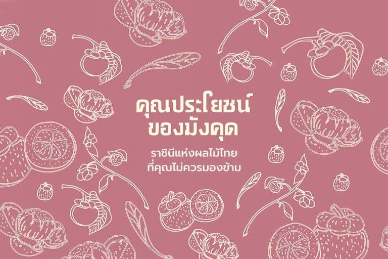 คุณประโยชน์ของมังคุด ราชินีแห่งผลไม้ไทย ที่คุณไม่ควรมองข้าม