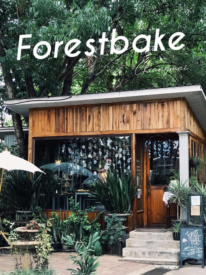forest bake1