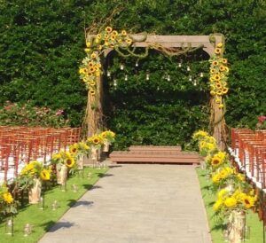 ฉากแต่งงานมินิมอลทานตะวัน