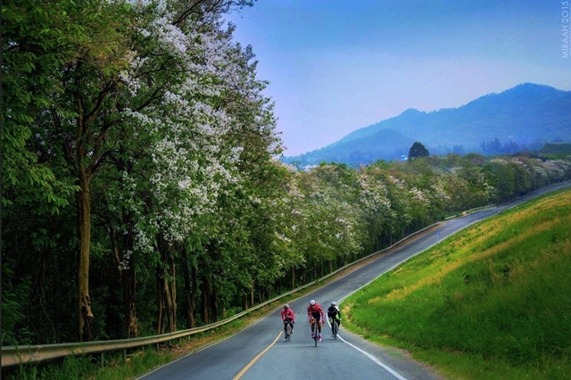 อ่างเก็บน้ำบางพระ ชลบุรี