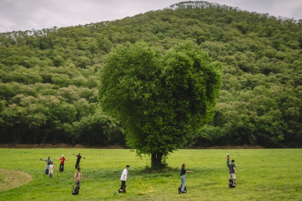 ไร่ทองสมบูรณ์