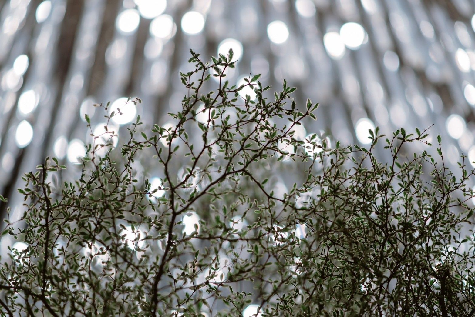 รีวิวแต่งงาน CDC Ballroom สถานที่แต่งงานรามอินทรา