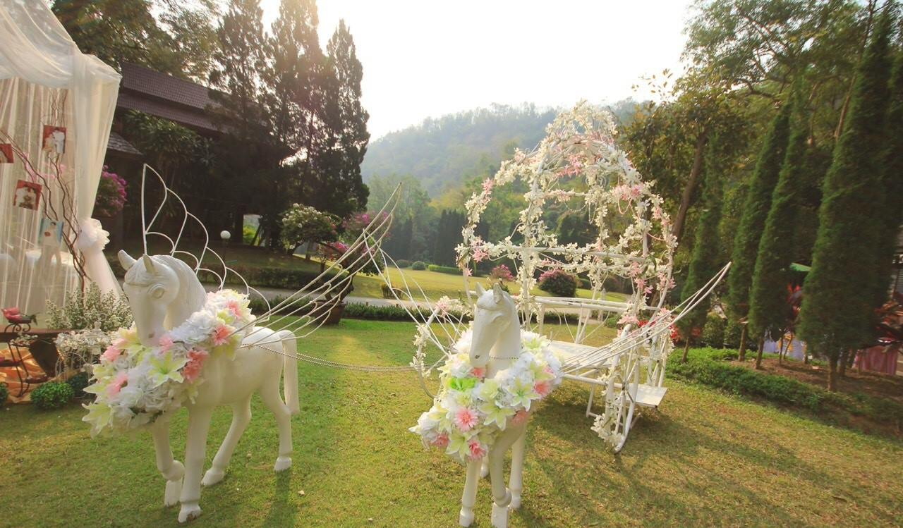 จัดงานแต่งงาน เชียงใหม่