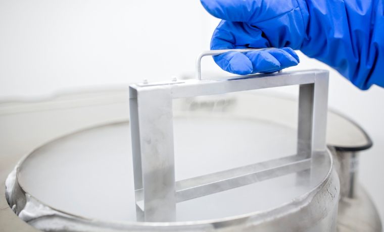 การฝากไข่และการฝากสเปิร์ม