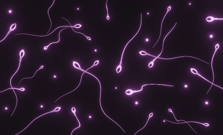 การฝากไข่และการฝากสเปิร์ม