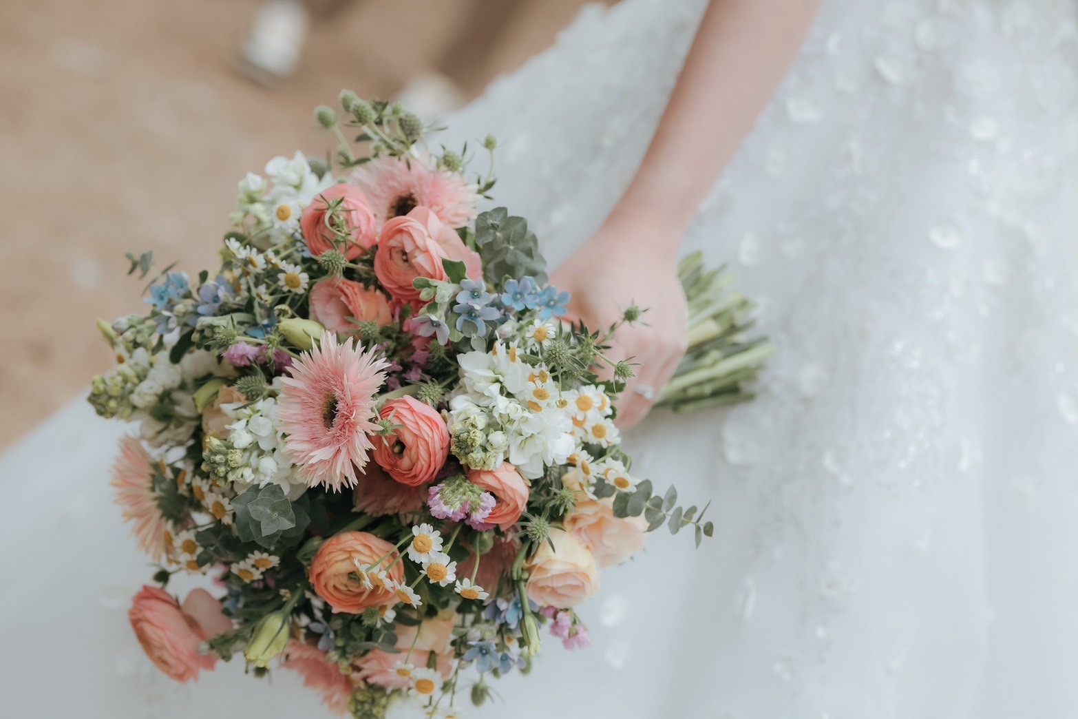 Tango Woods Studio 3