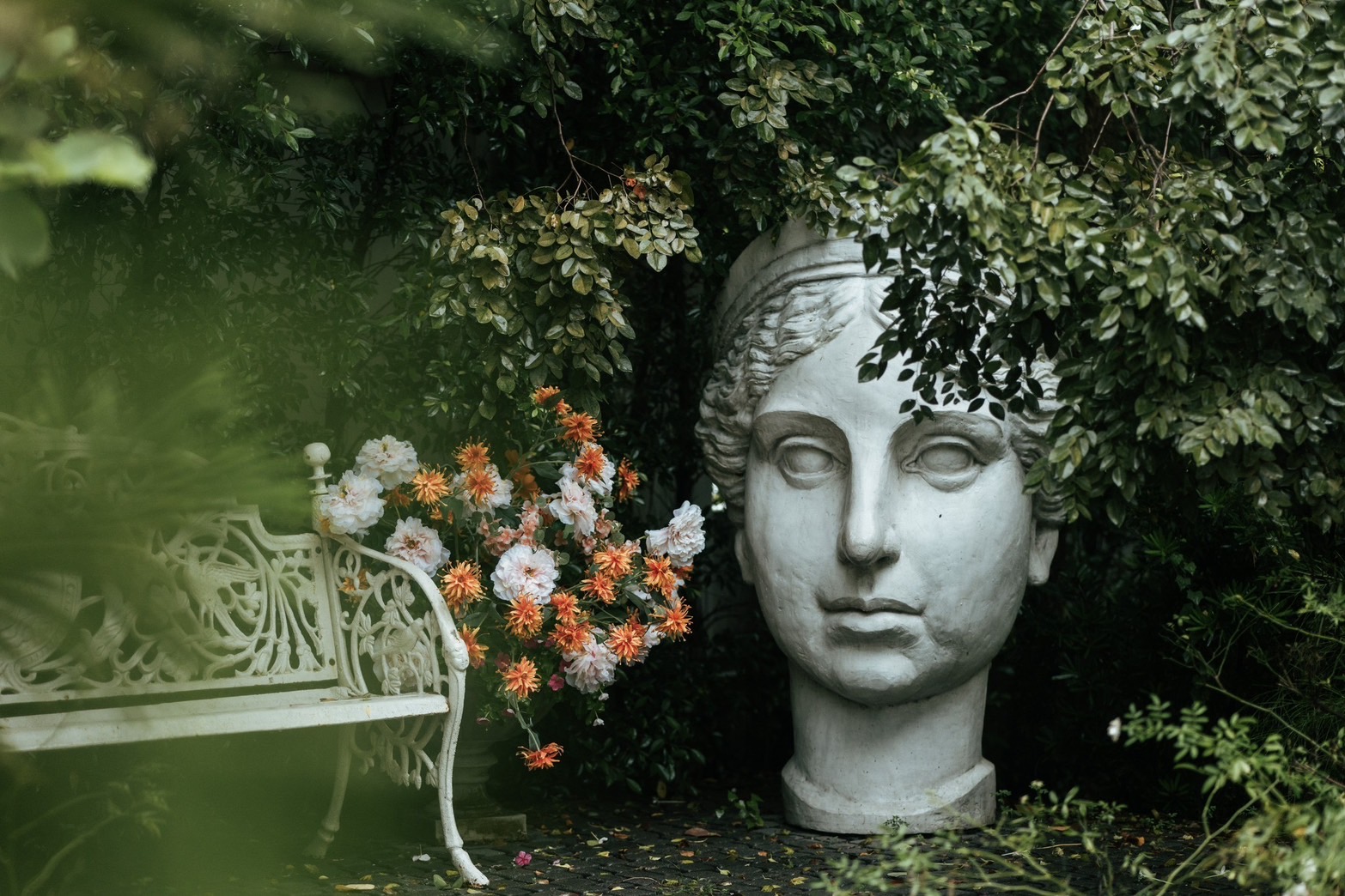 Tango Woods Studio 1