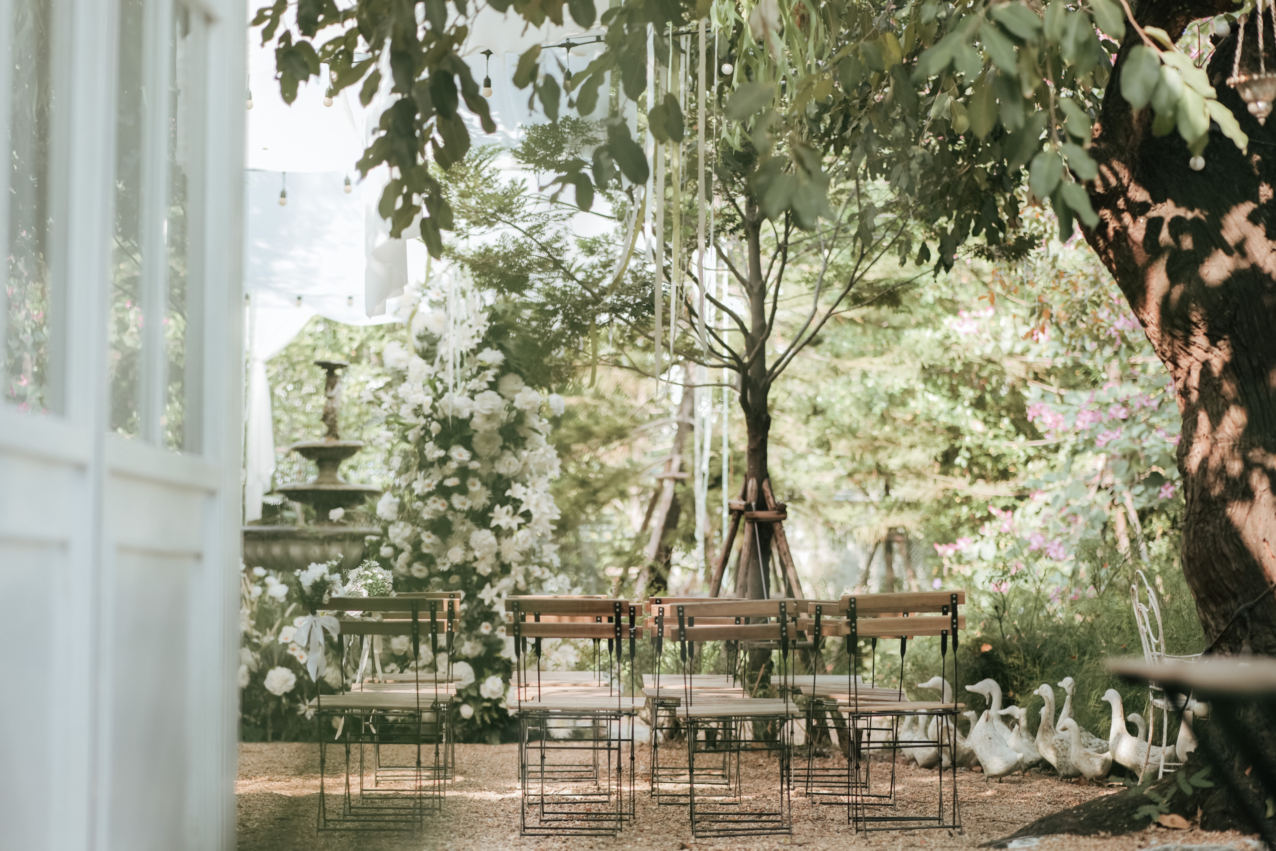 Tango Woods Studio 3