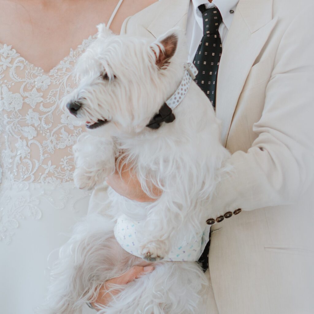 Silooet House ด้านนอกมีสวนกว้าง ๆ ให้เจ้าสัตว์เลี้ยงแสนรักของคุณวิ่งเล่นได้เพลิน ๆ