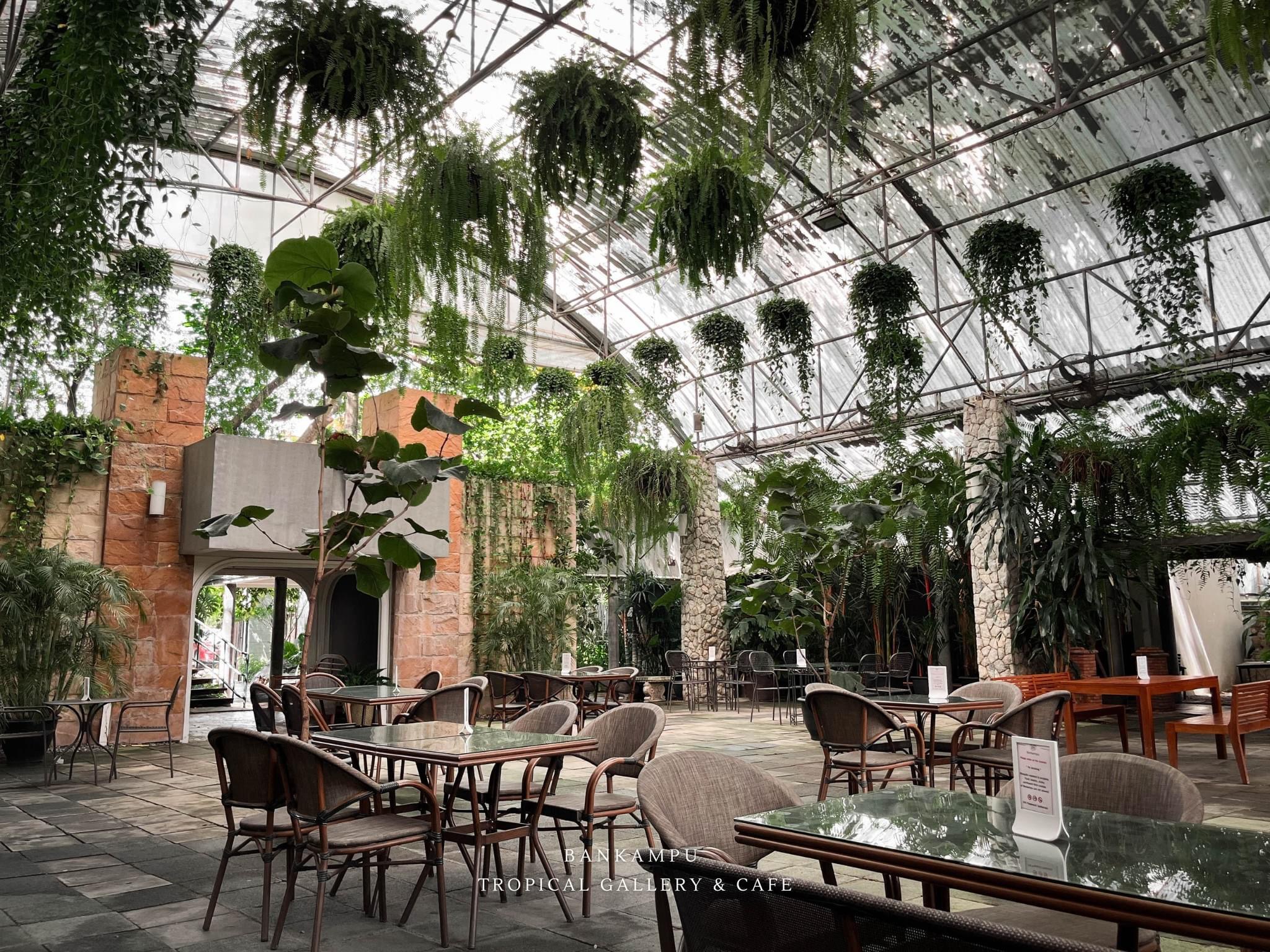 ร้านอาหารจัดงานแต่งพร้อมพันธุ์ไม้โดยรอบ