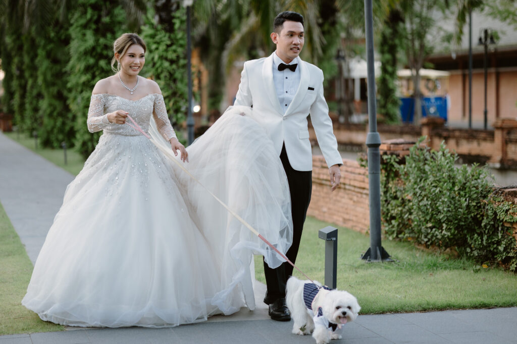 งานแต่งงานของคุณสตีฟและคุณขิง