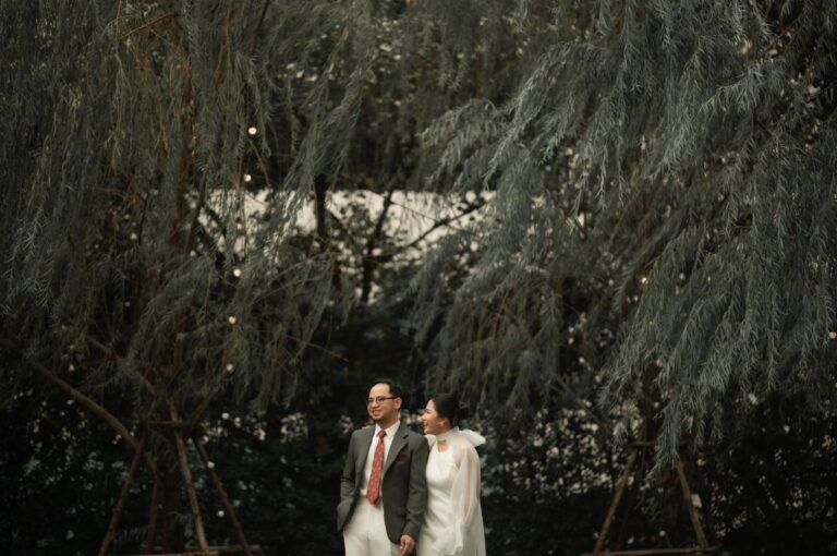 ธีมงานแต่งในสวนในวันคริสต์มาส