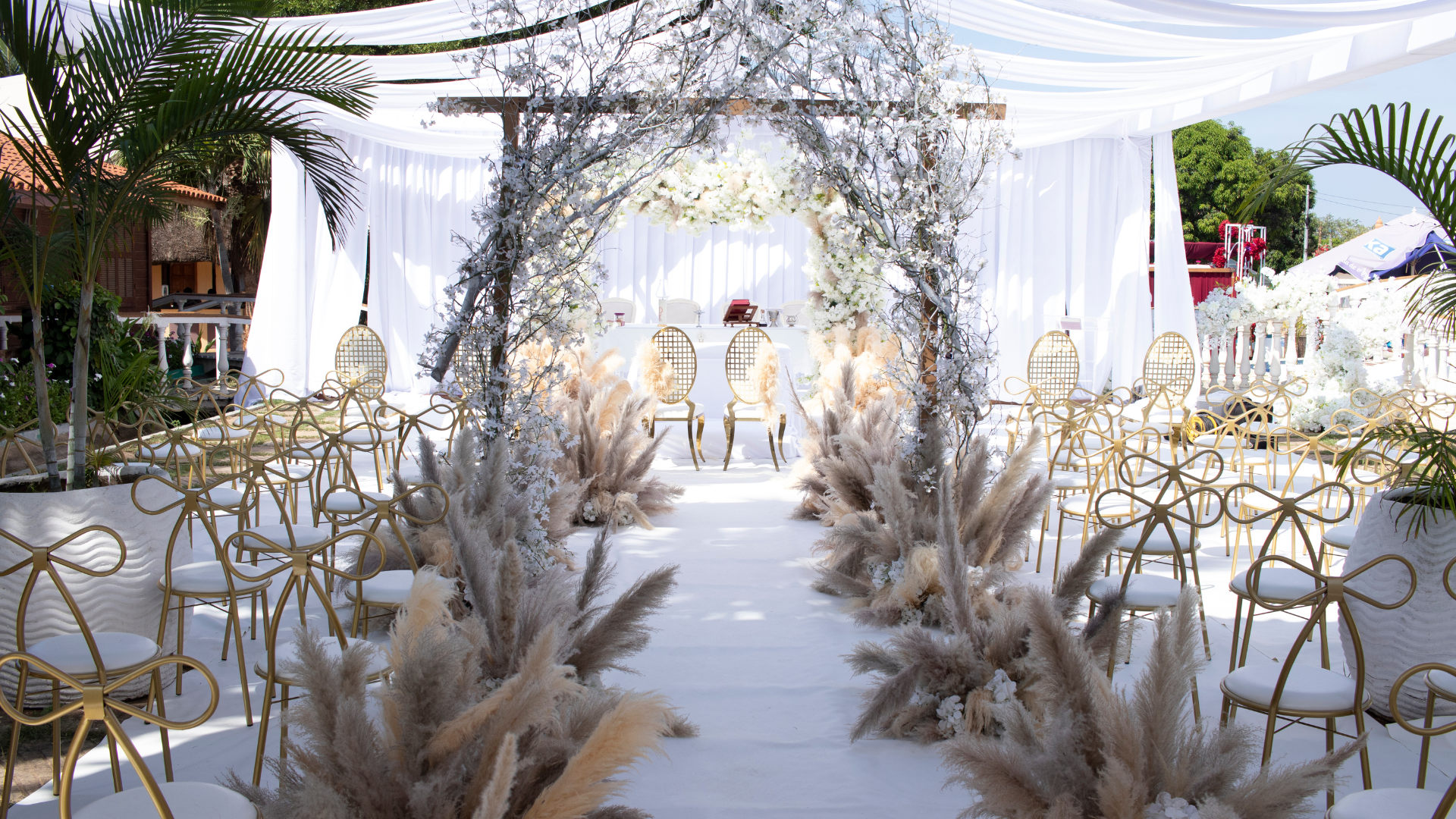 ตกแต่งเต็นท์งานแต่งด้วยหญ้าแพมพัส