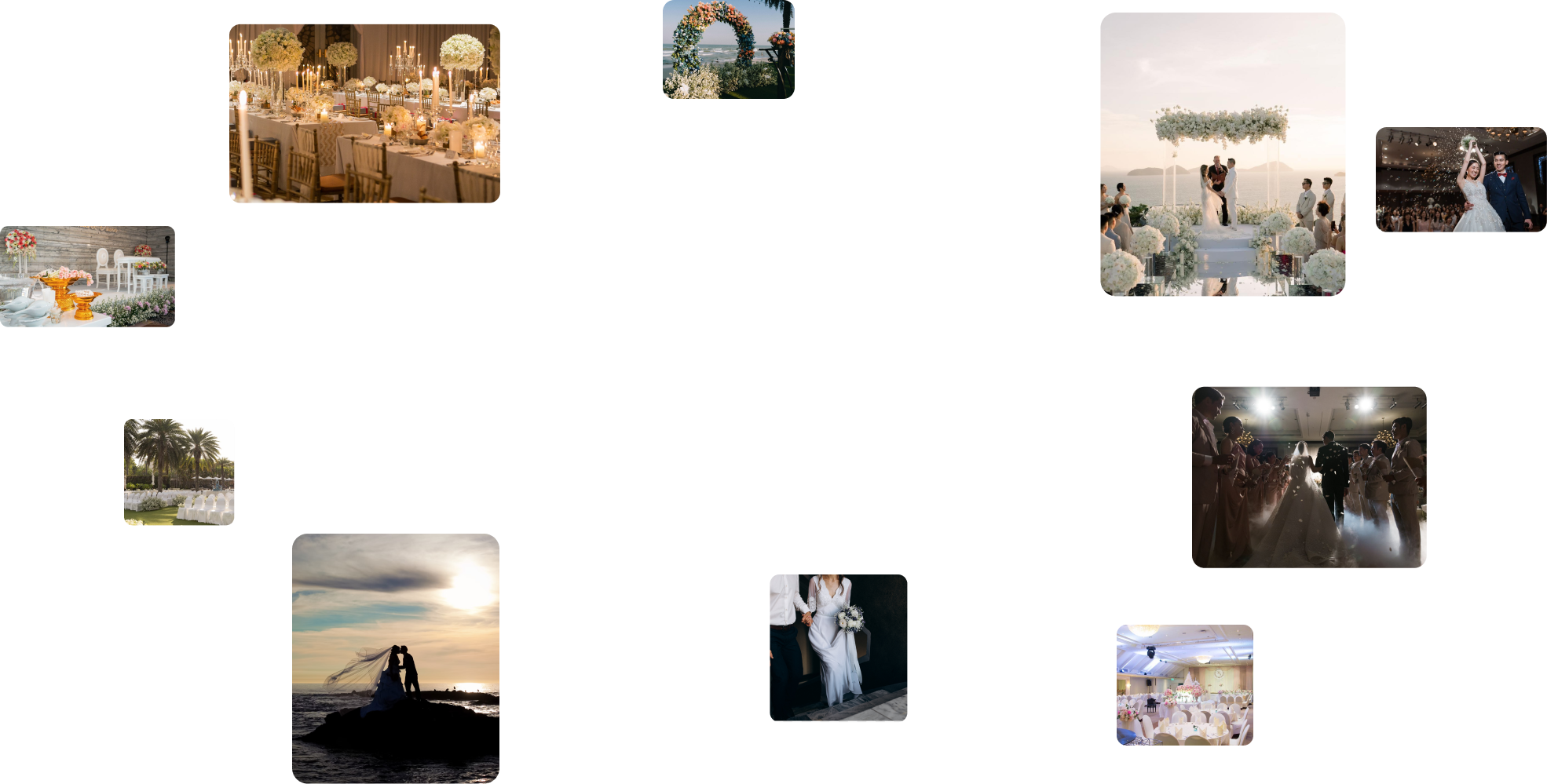 section highlight bg