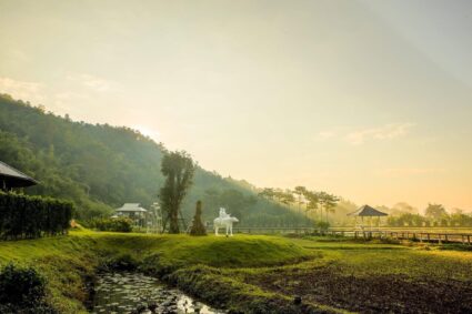 The White House Boutique