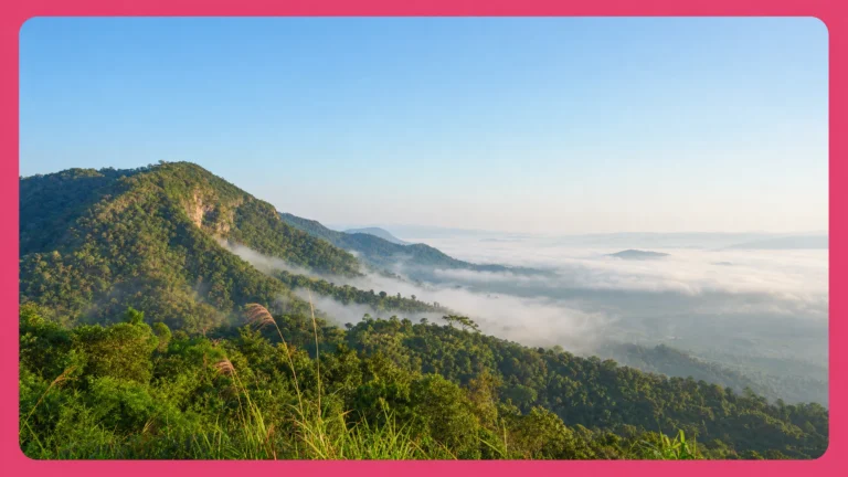 ที่เที่ยวเขาใหญ่ 1 วัน เที่ยวไหนดี รวมน้ำตก จุดชมวิว และคาเฟ่